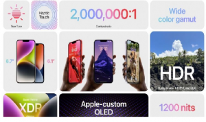 Harga