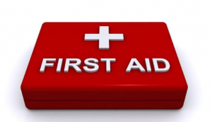 Pertolongan Pertama