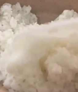 aduk nasi