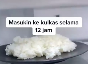  masukkin kekulkas 12jam