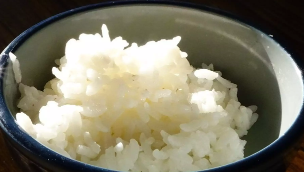 nasi putih