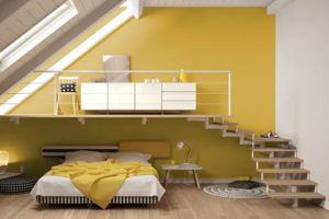 Cat Kamar