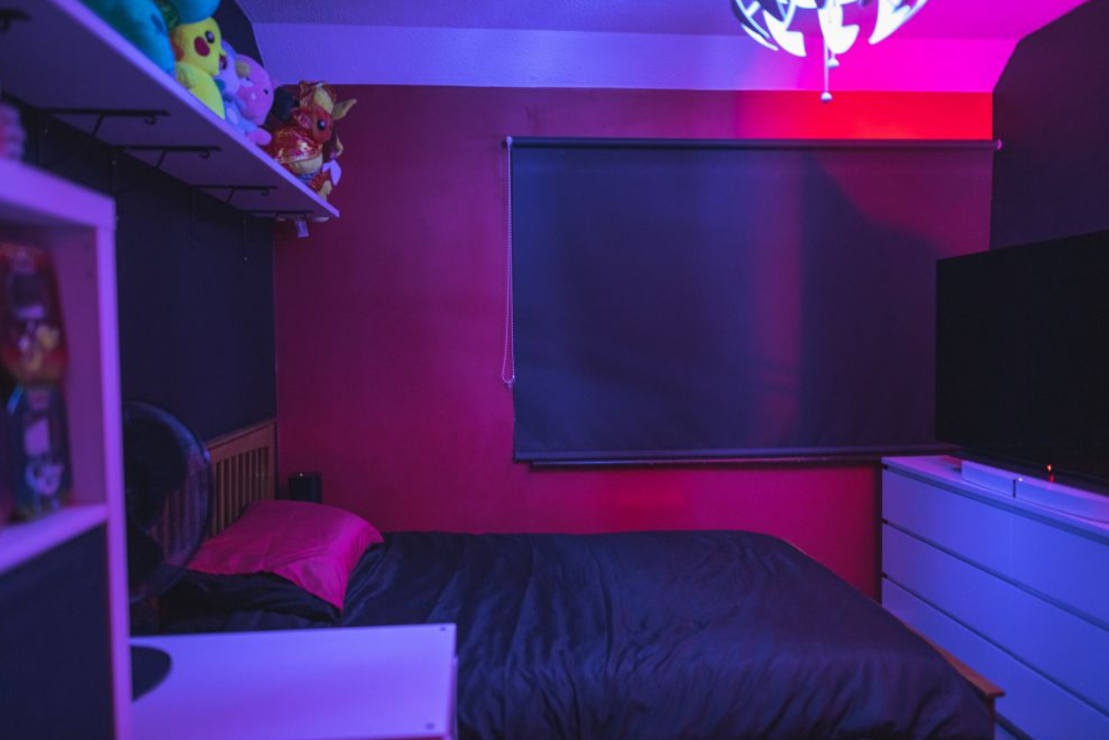 Cat Kamar