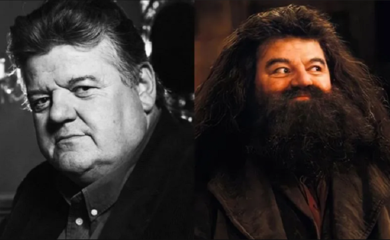 Pemeran Hagrid