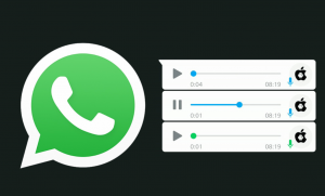 Voice Notes WhatsApp