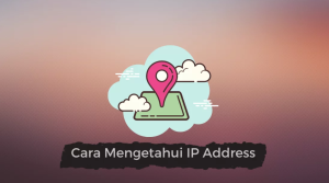 IP Address