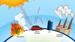 10 Cara Sederhana Mengatasi Pemanasan Global