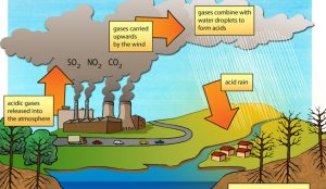 10 Cara Sederhana Mengatasi Pemanasan Global