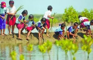 11 Cara Menjaga Lingkungan Alam