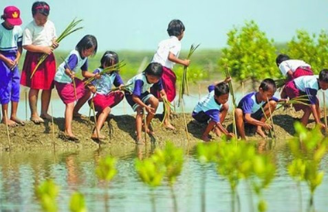 11 Cara Menjaga Lingkungan Alam