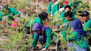 11 Cara Menjaga Lingkungan Alam