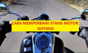 Stang Motor