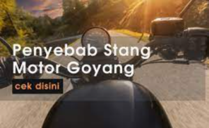 Stang Motor