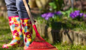 10 Cara Menjaga Kebersihan Rumah Agar Sehat dan Tampak Indah