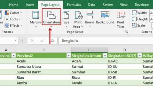6 Cara Print Excel agar Tidak Terpotong dan Tetap Sehalaman