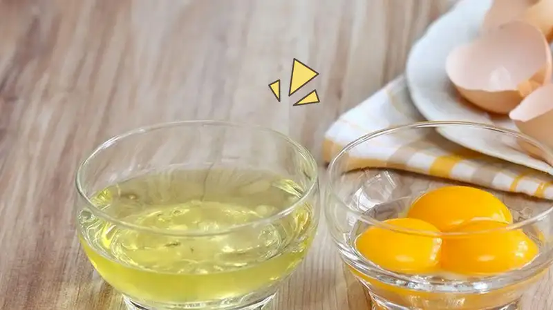 Putih Telur