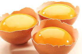 Kuning Telur